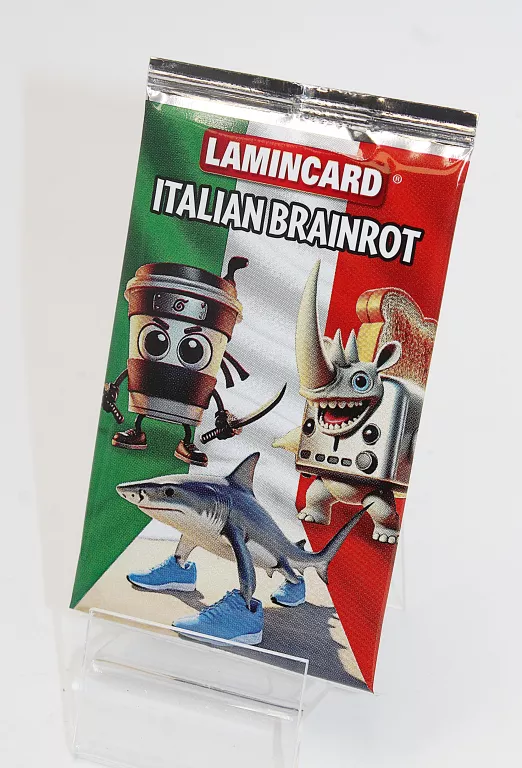 SASZETKA ITALIAN BRAINROT LAMINCARD KARTY KOLEKCJONERSKIE 1 SZT