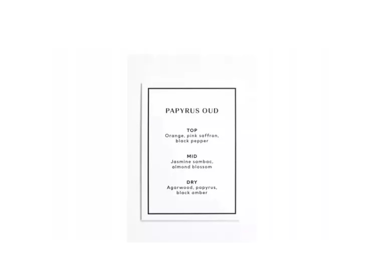 PATYCZKI ZAPACHOWE H&M PAPYRUS OUD REED DIFUSER 120ML.