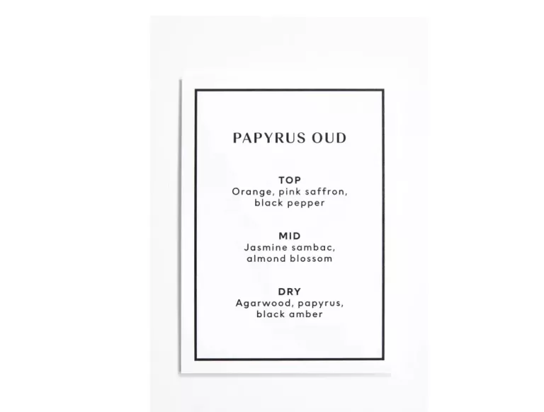 PATYCZKI ZAPACHOWE H&M PAPYRUS OUD REED DIFUSER 120ML.