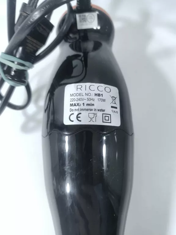 BLENDER RĘCZNY RICCO HB1