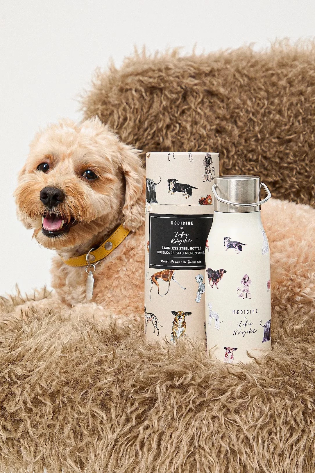butelka-termiczna-z-okazji-dnia-psa-zofia-rozycka-medicine-500ml-model-zofia-rozycka-x-medicine-500ml