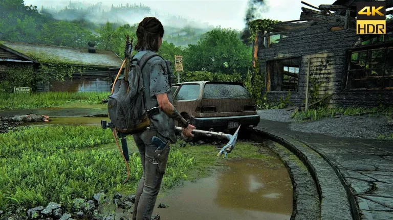 PS4 THE LAST OF US PART II
