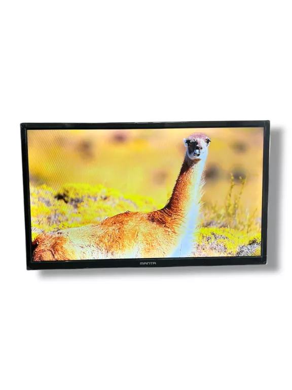 TELEWIZOR LED MANTA 24LHN124D 24" HD READY BRAK STOPEK