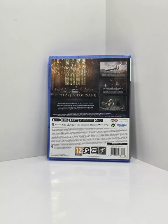 GRA NA PS5 PLAYSTATION 5 HOGWARTS LEGACY - DZIEDZICTWO HOGWARTU