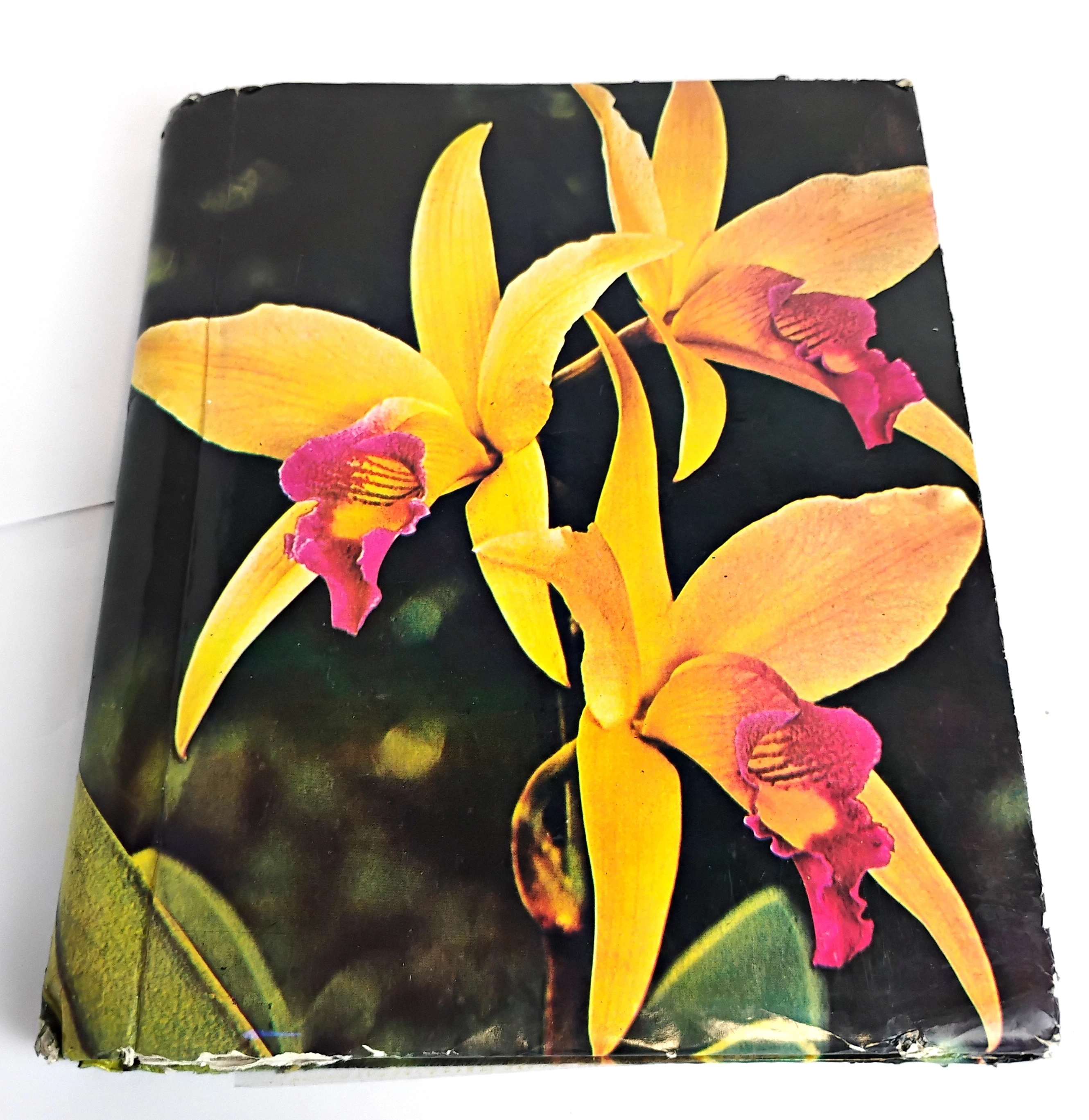 album-z-kartami-dragon-ball-1995-i-inne-45-szt-stan-11323-2