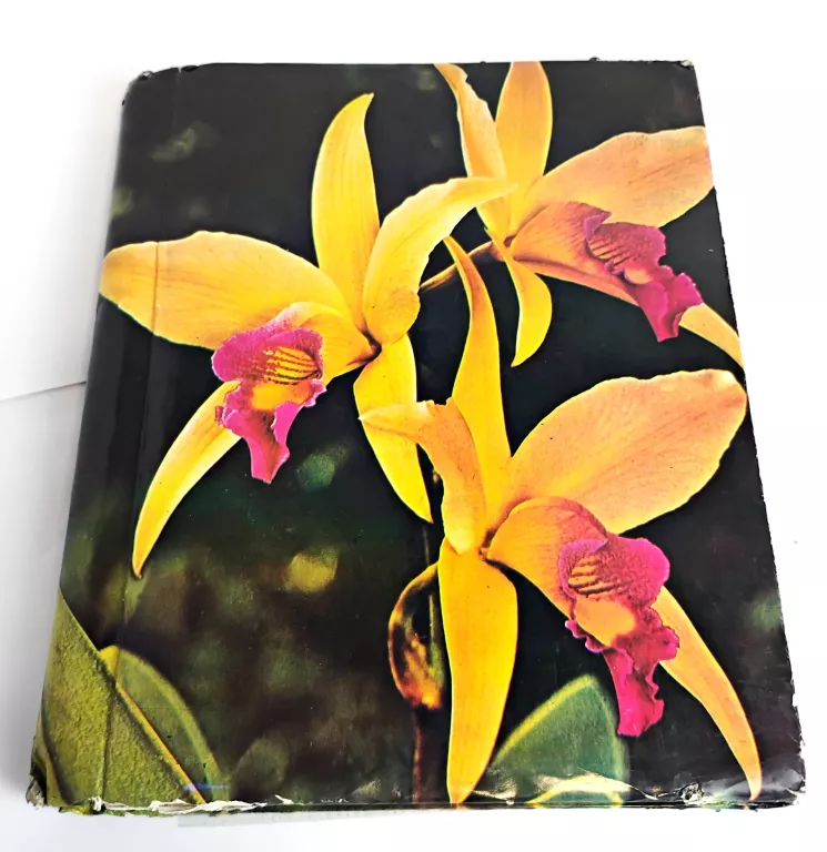 album-z-kartami-dragon-ball-1995-i-inne-45-szt-stan-11323-2