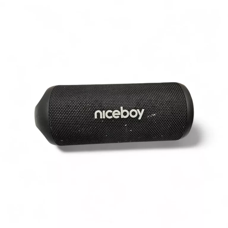 glosnik-nieceboy-raze-origin-5-mennicza-20-cieszyn-milz-2