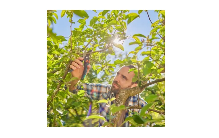 sekator-premiumcut-dwuostrzowy-srednica-ciecia-24-mm-gardena-12252-20-zasilanie-209566-1769021