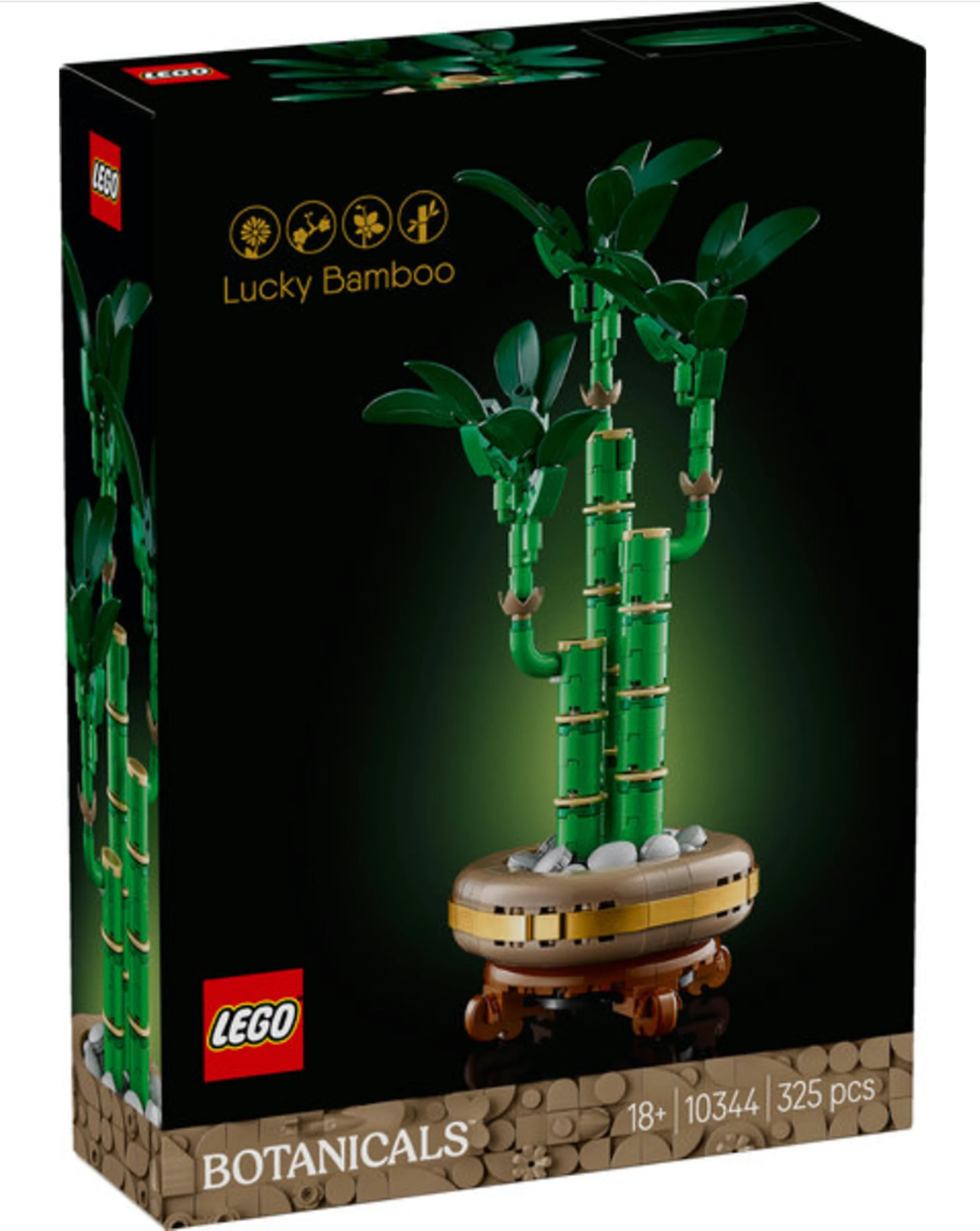 lego-botanicals-10344-lucky-bamboo-uszkodzone-pudelko-obornicka-59-sj-wroclaw