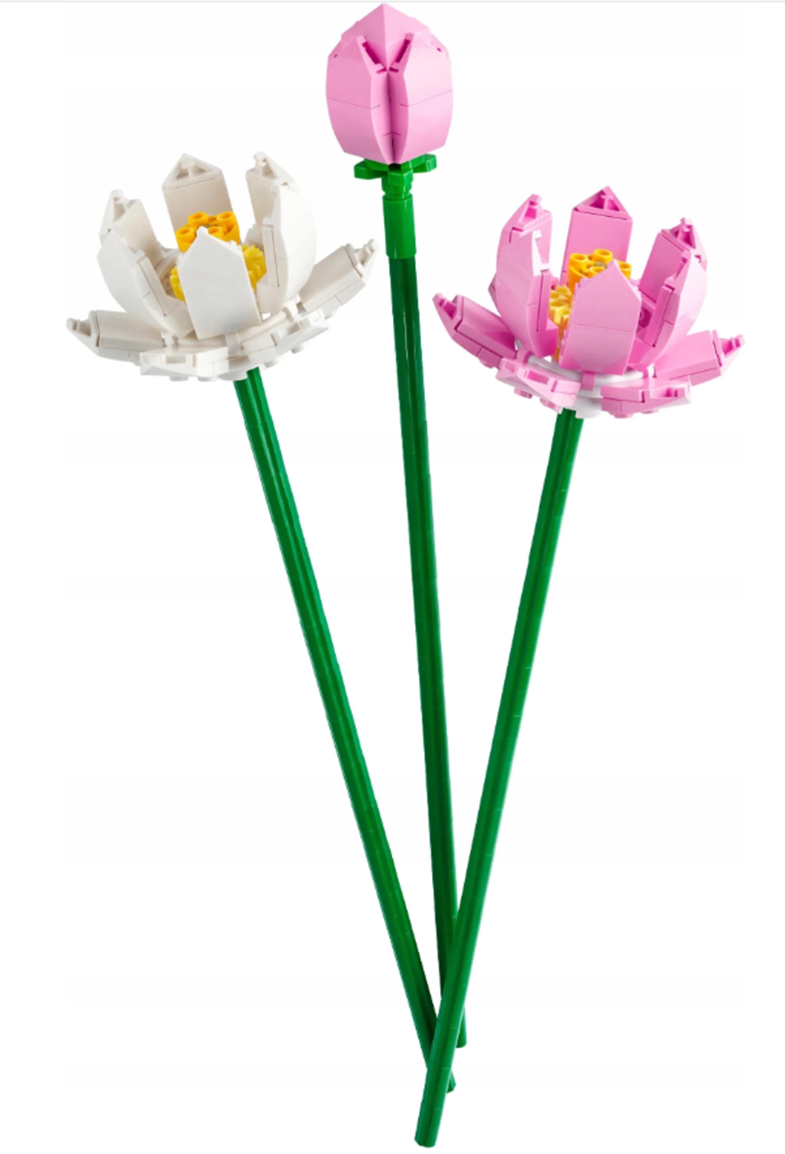 lego-botanicals-40647-kwiaty-lotosu-uszkodzone-pudelko-ean-gtin-5702017471549