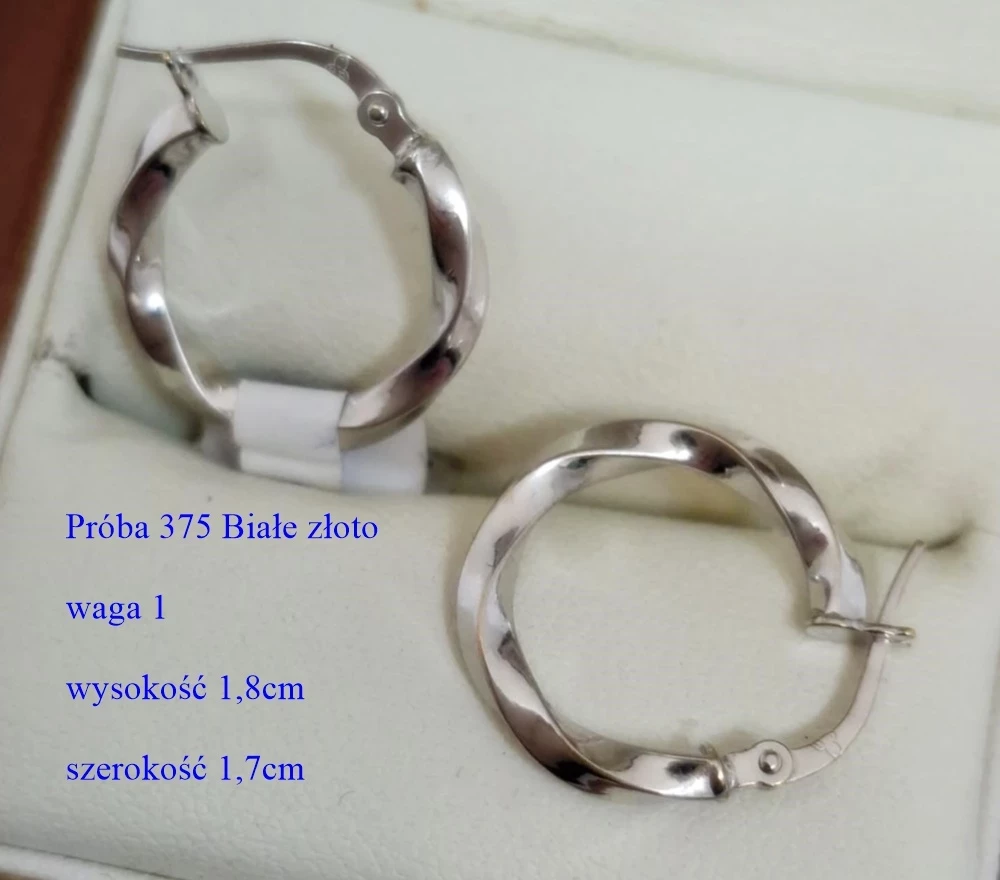 wyjatkowe-kolczyki-z-bialego-zlota-p375-warszawska-12-wieruszow-ev