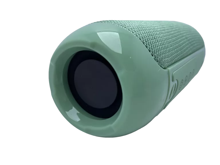 glosnik-bt-tg-117-stan-11323-2