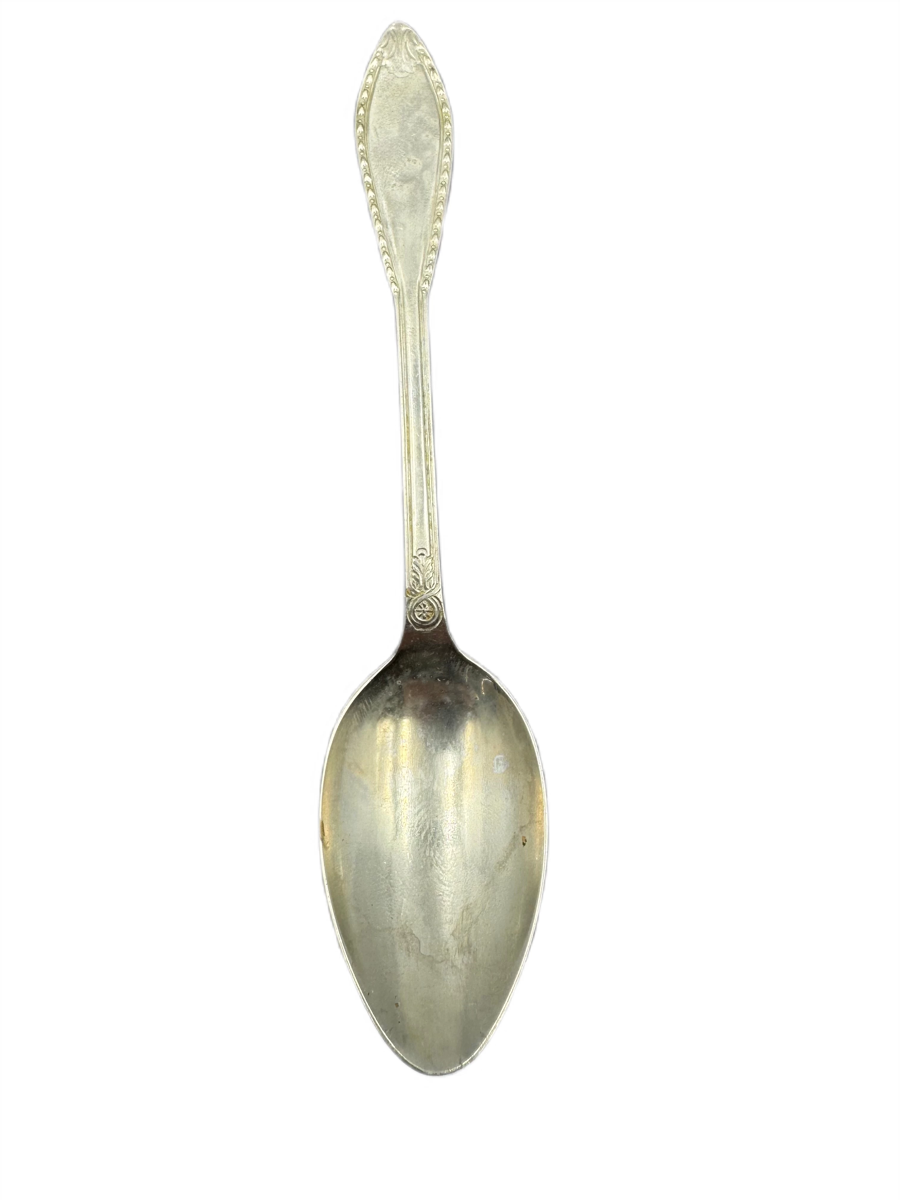 lyzeczki-platerowane-11-sztuk-liczba-elementow-11