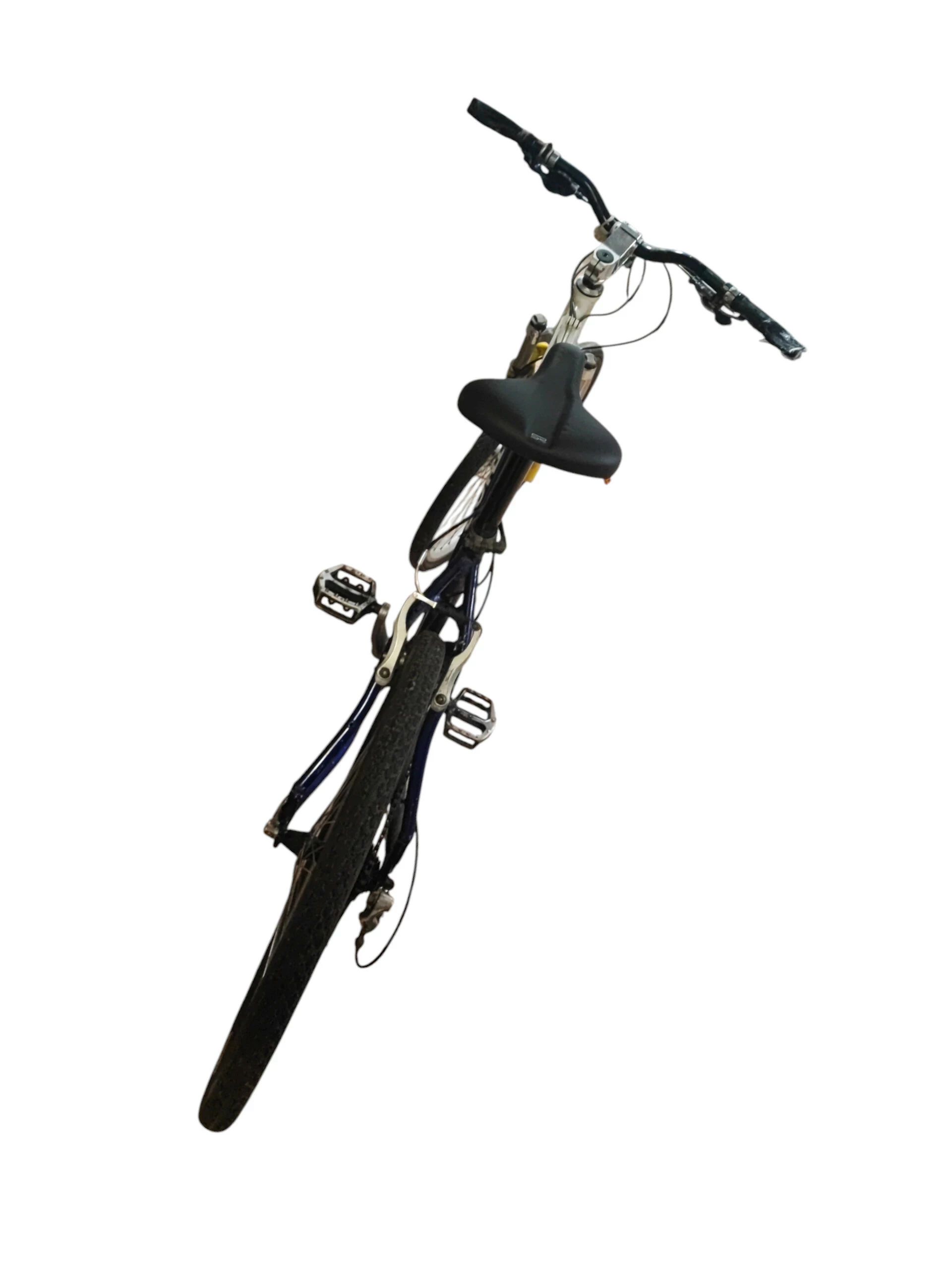 rower-author-versus-sx-stan-11323-2