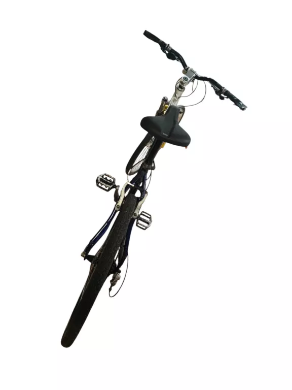 rower-author-versus-sx-stan-11323-2