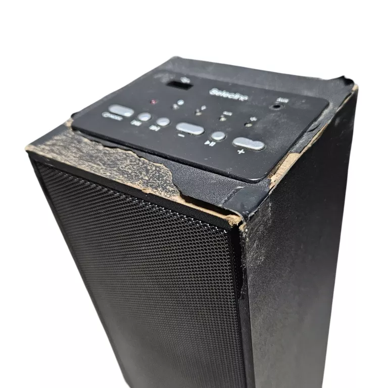 glosnik-sieciowy-selecline-fw-1430cf-20w-szczecinska-29b-slupsk