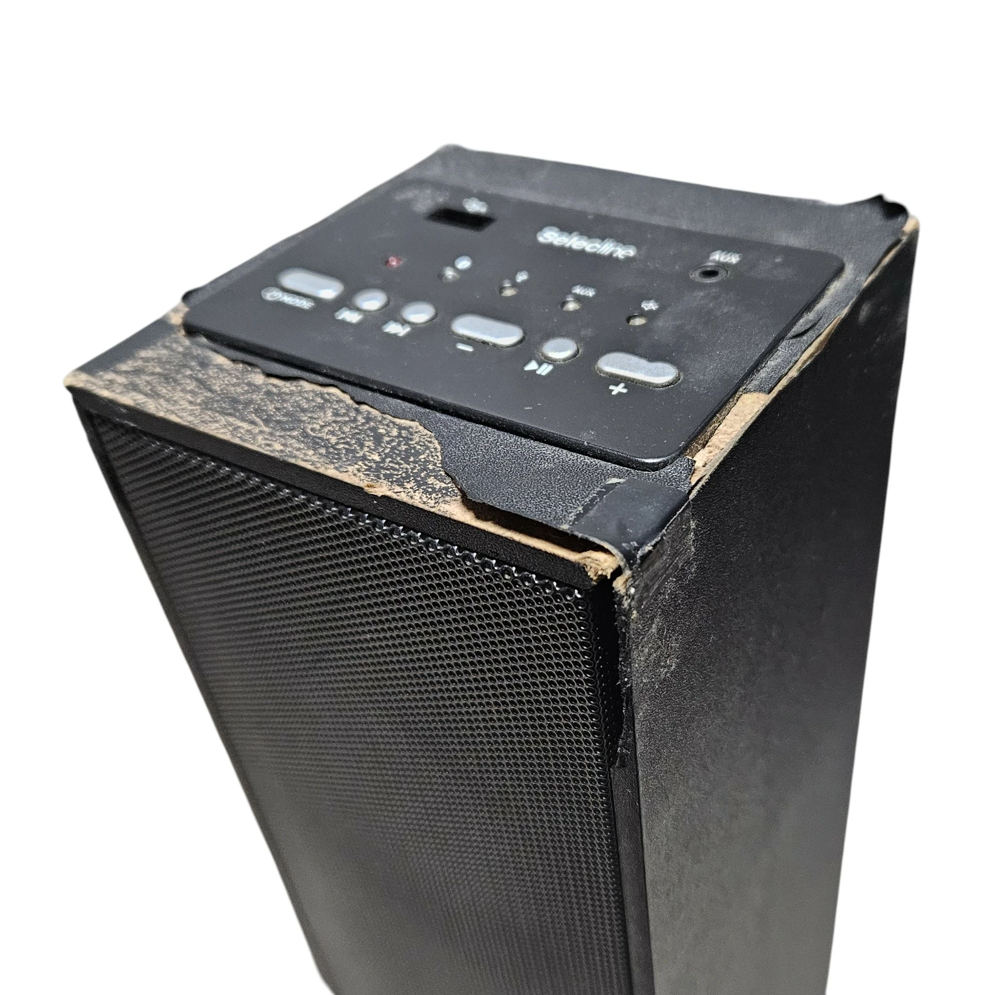 glosnik-sieciowy-selecline-fw-1430cf-20w-szczecinska-29b-slupsk