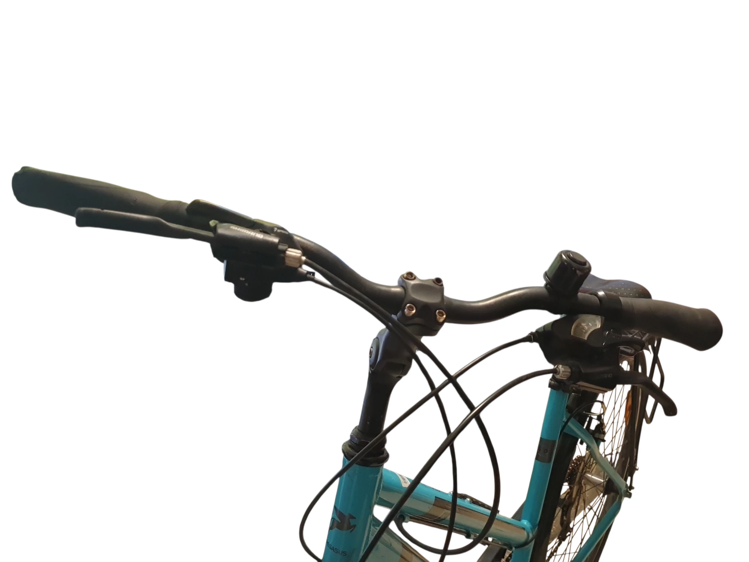 rower-pegasus-piazza-plec-130411-1