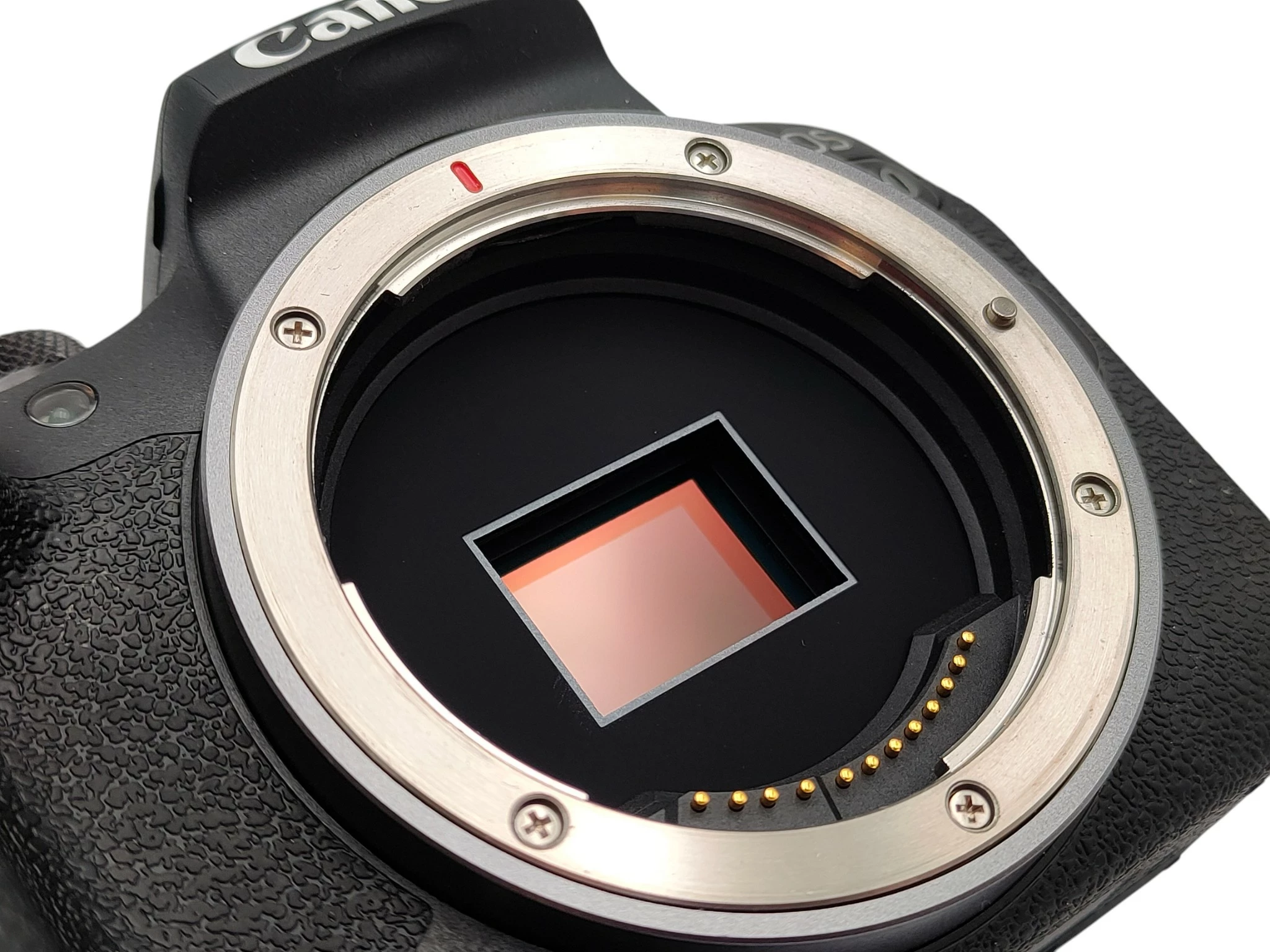 aparat-bezlusterkowy-canon-eos-r10-2x-obiektyw-statyw-plecak-typ-matrycy-14228-2