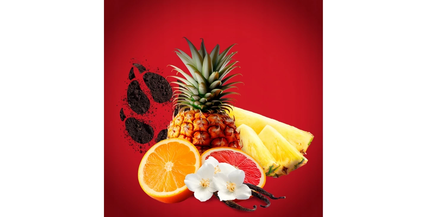 zel-pod-prysznic-old-spice-wolfthorn-3-w-1-675-ml-8700216230988-stan-11323-1