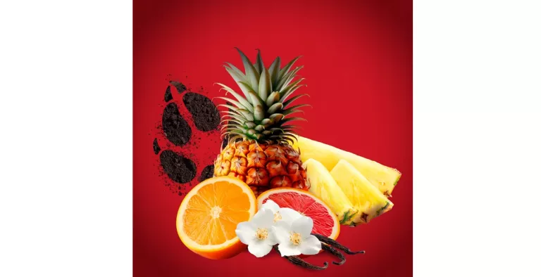 zel-pod-prysznic-old-spice-wolfthorn-3-w-1-675-ml-8700216230988-stan-11323-1