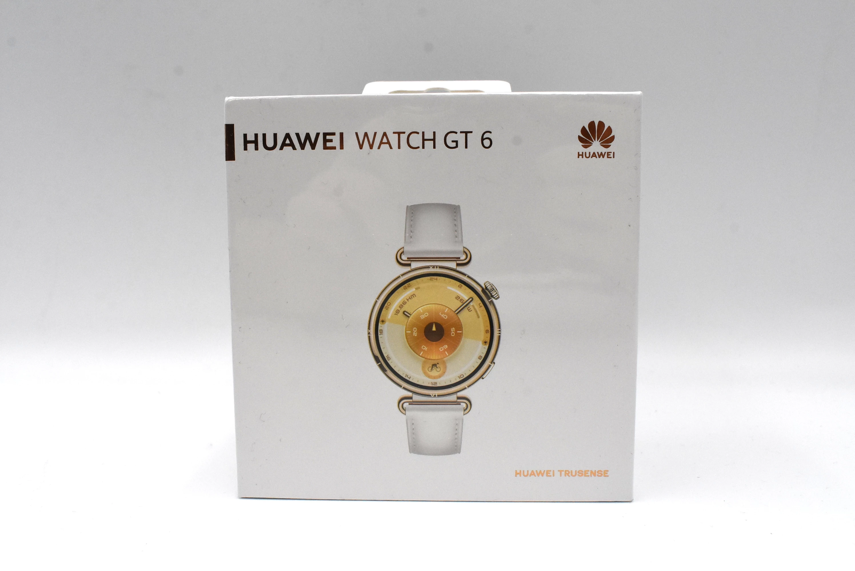 smartwatch-huawei-watch-gt-6-ean-gtin-6942103168246