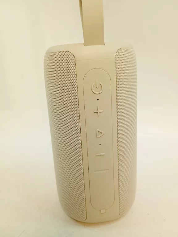 glosnik-przenosny-fresh-n-rebel-xl-szary-24-w-moc-2400