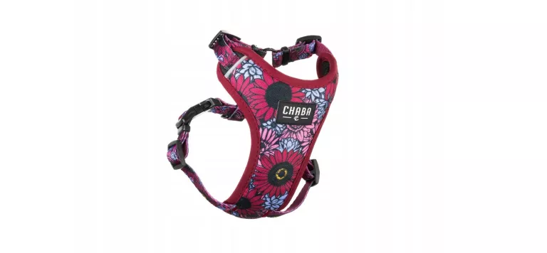 szelki-spacerowe-chaba-56-x-48-cm-os-piastowskie-74a-poznan