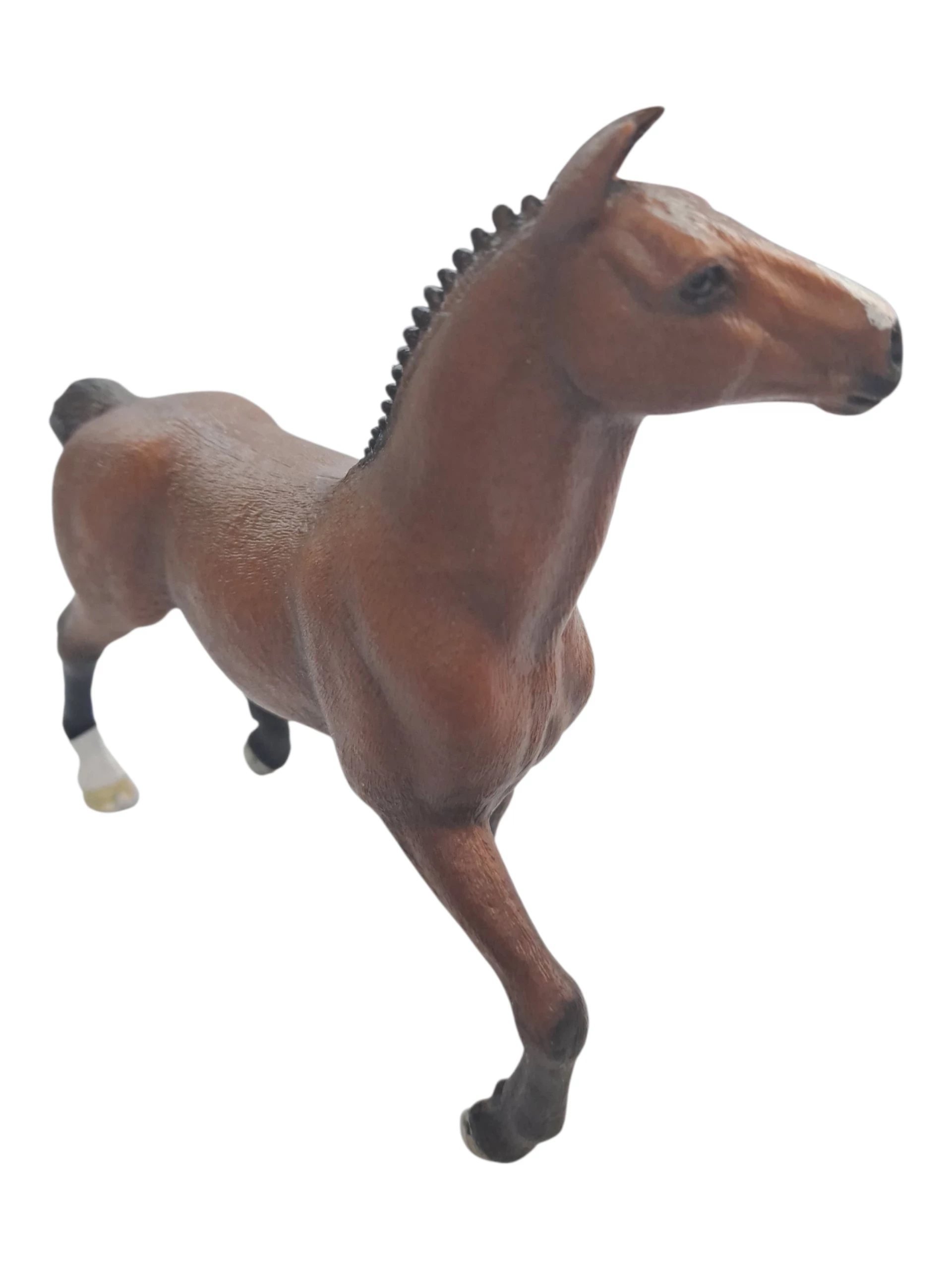 klacz-oldenburska-horse-typ-201569-208669