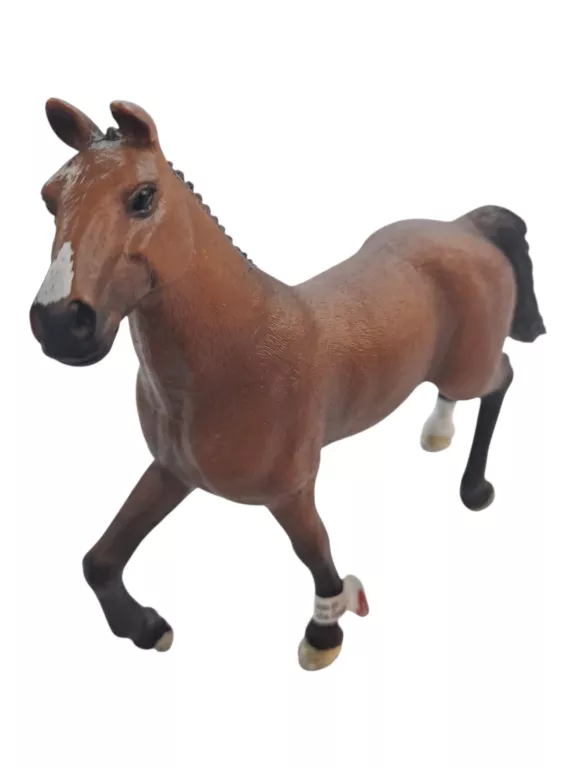 klacz-oldenburska-horse-piastowska-19-wroclaw