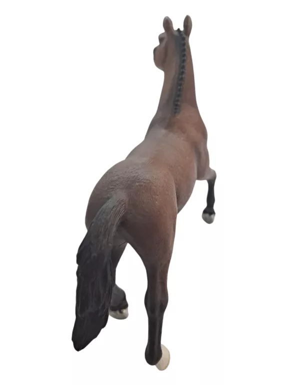 klacz-oldenburska-horse-stan-11323-1