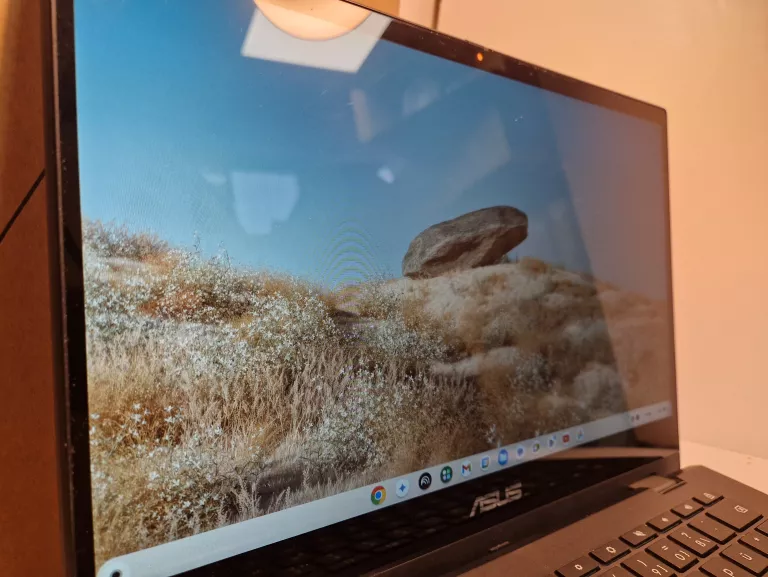 laptop-asus-chromebook-cm1402fm2-kod-producenta-cm1402fm2a-ec0159