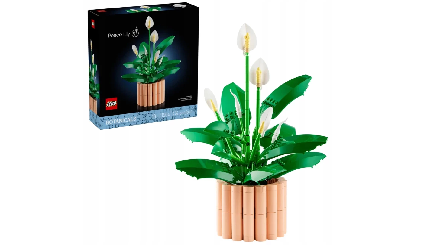 lego-botanicals-11504-skrzydlokwiat-warszawska-38-katowice