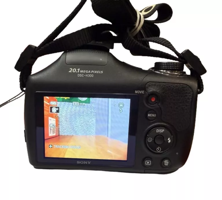 aparat-sony-dsc-h300-jakosc-video-206962-228942
