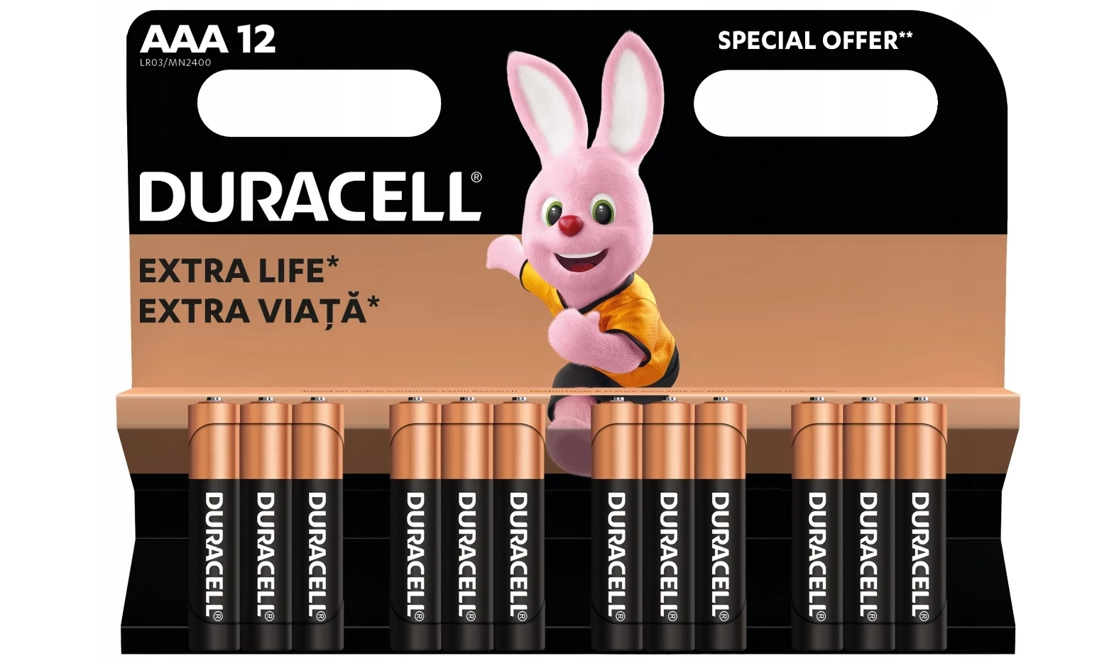 bateria-alkaliczna-duracell-aaa-r3-12-szt-ean-gtin-5000394093836