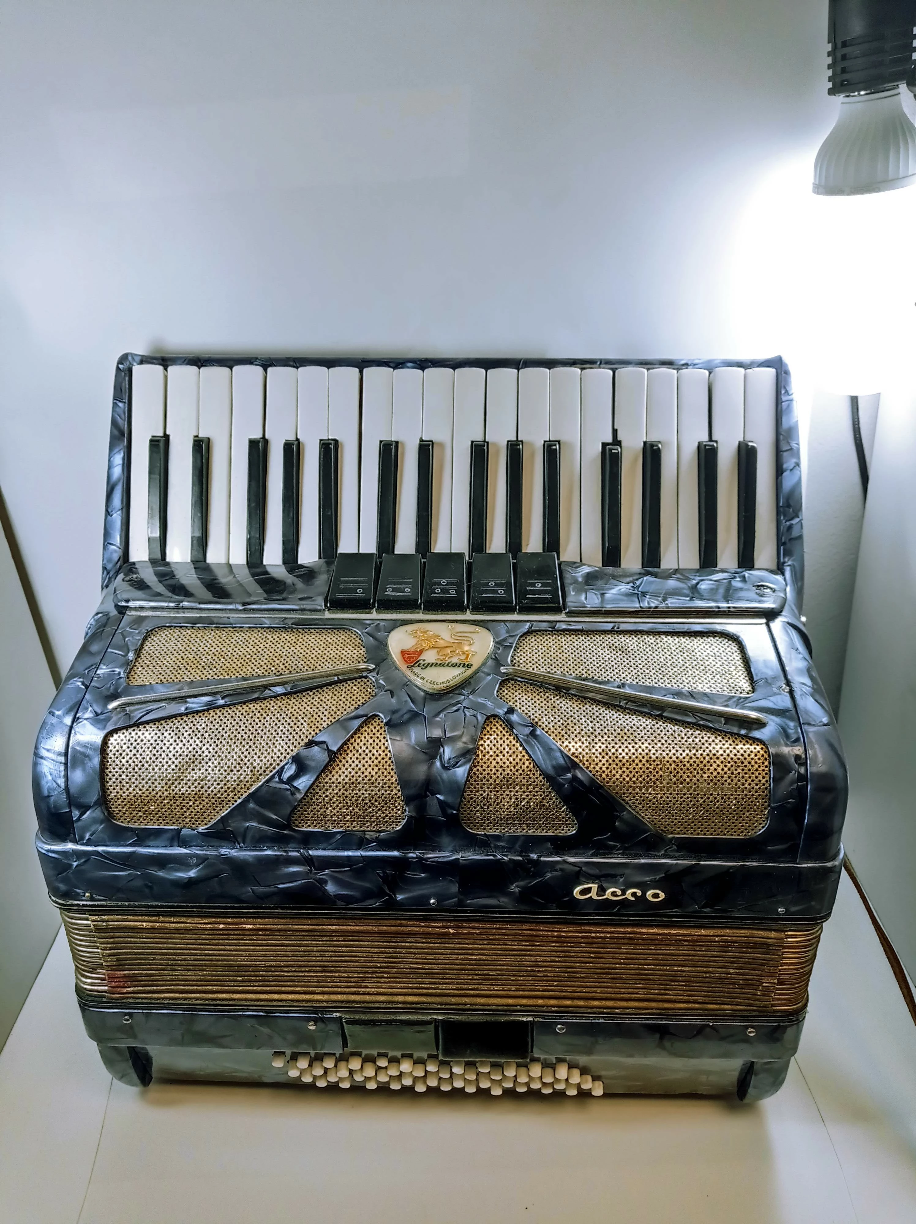 akordeon-lignatone-accord-i-wyszynskiego-24-tczew