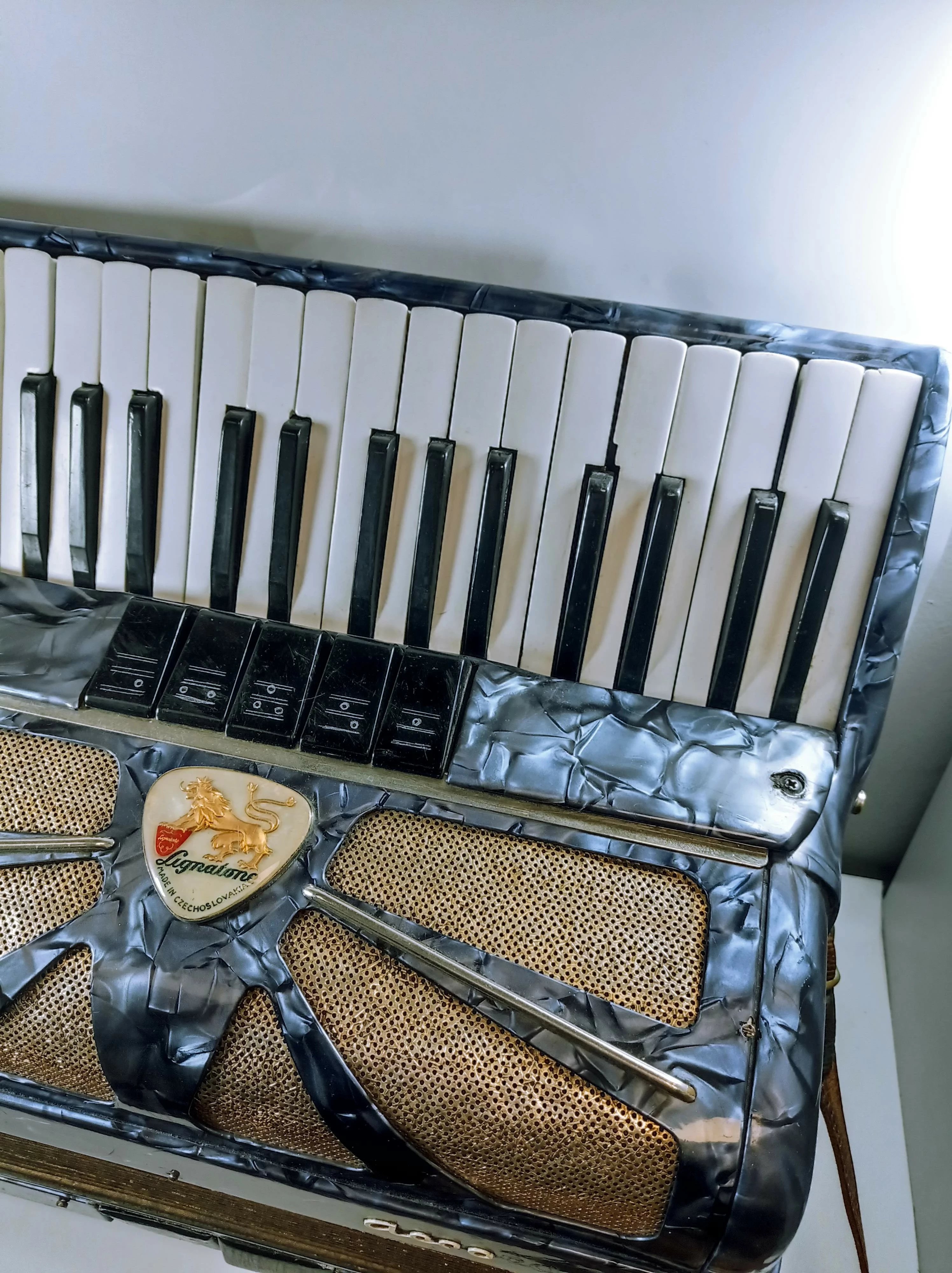 akordeon-lignatone-accord-i-marka-248811-2041022