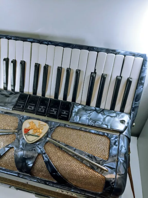 akordeon-lignatone-accord-i-marka-248811-2041022