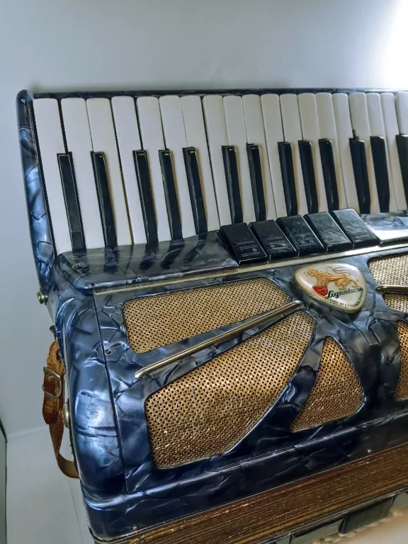 akordeon-lignatone-accord-i-wyszynskiego-24-tczew