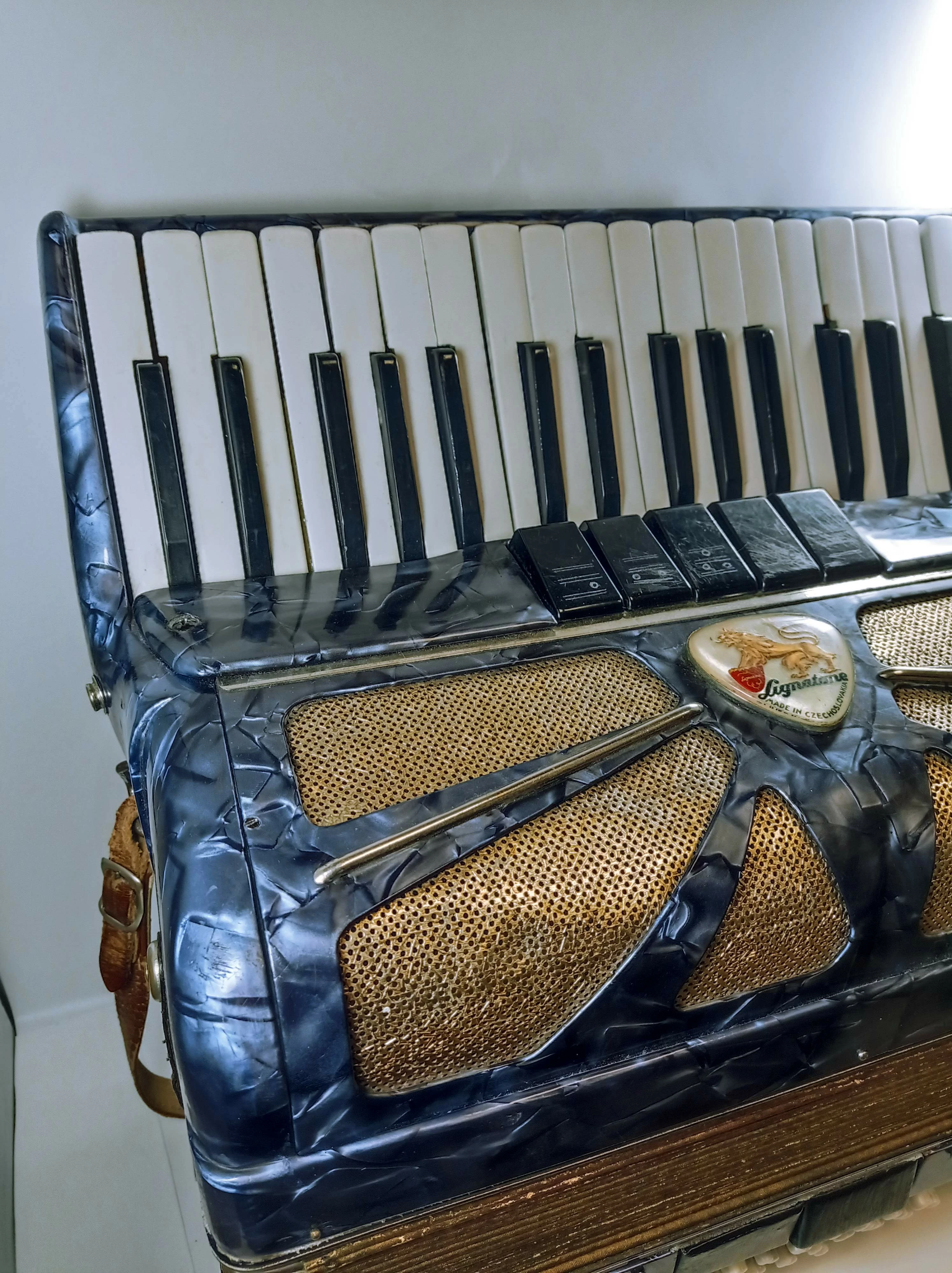 akordeon-lignatone-accord-i-wyszynskiego-24-tczew