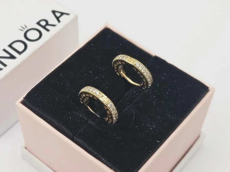 wysadzane-kamieniami-kolczyki-z-motywem-serc-platerowanie-z-14k-zlota-motyw-129129-246990