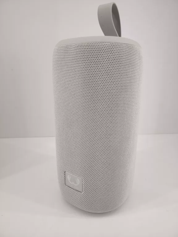 glosnik-bezprzewodowy-fresh-rebel-1arb800ig-24w-moc-2400