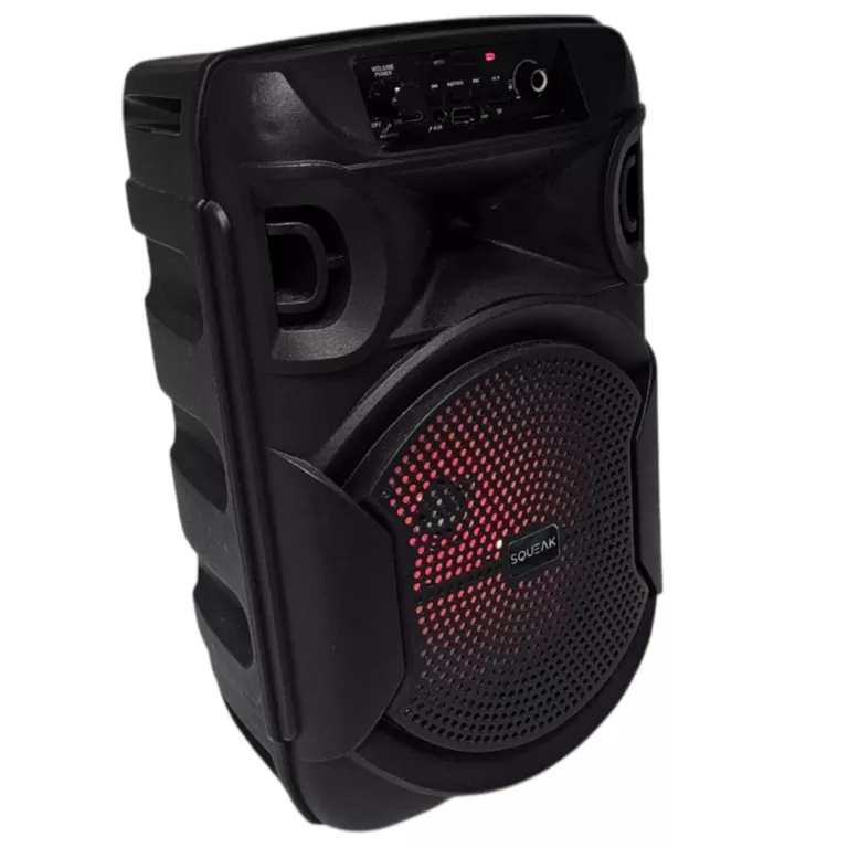 glosnik-squeak-sq1006-swietokrzyska-8-inowroclaw