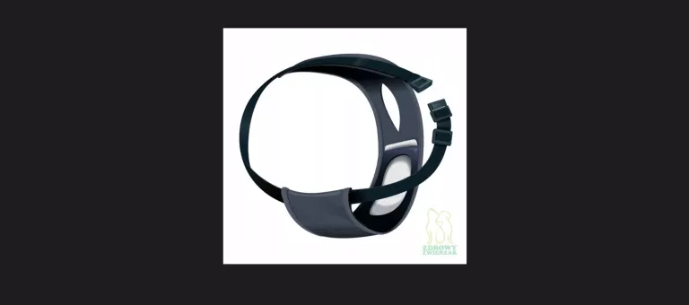 trixie-majtki-na-cieczke-dla-suczki-s-24-31cm-piastowska-19-wroclaw