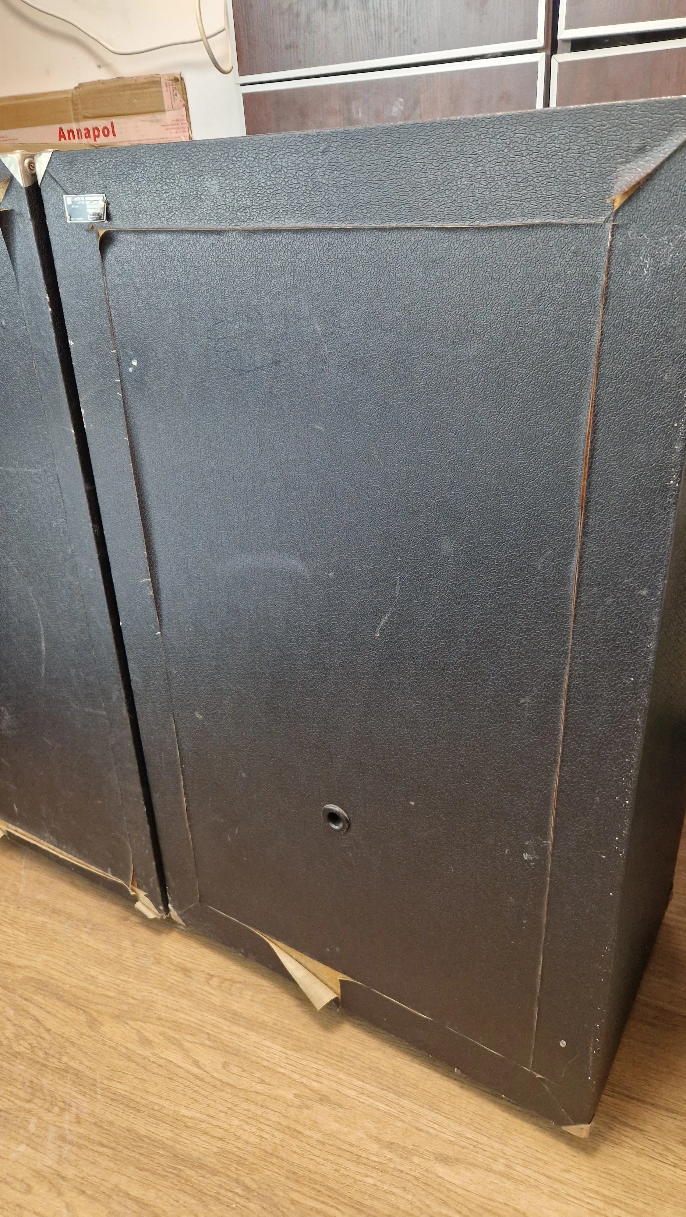 2x-kolumna-estradowa-unitra-zg-603-pasmo-przenoszenia