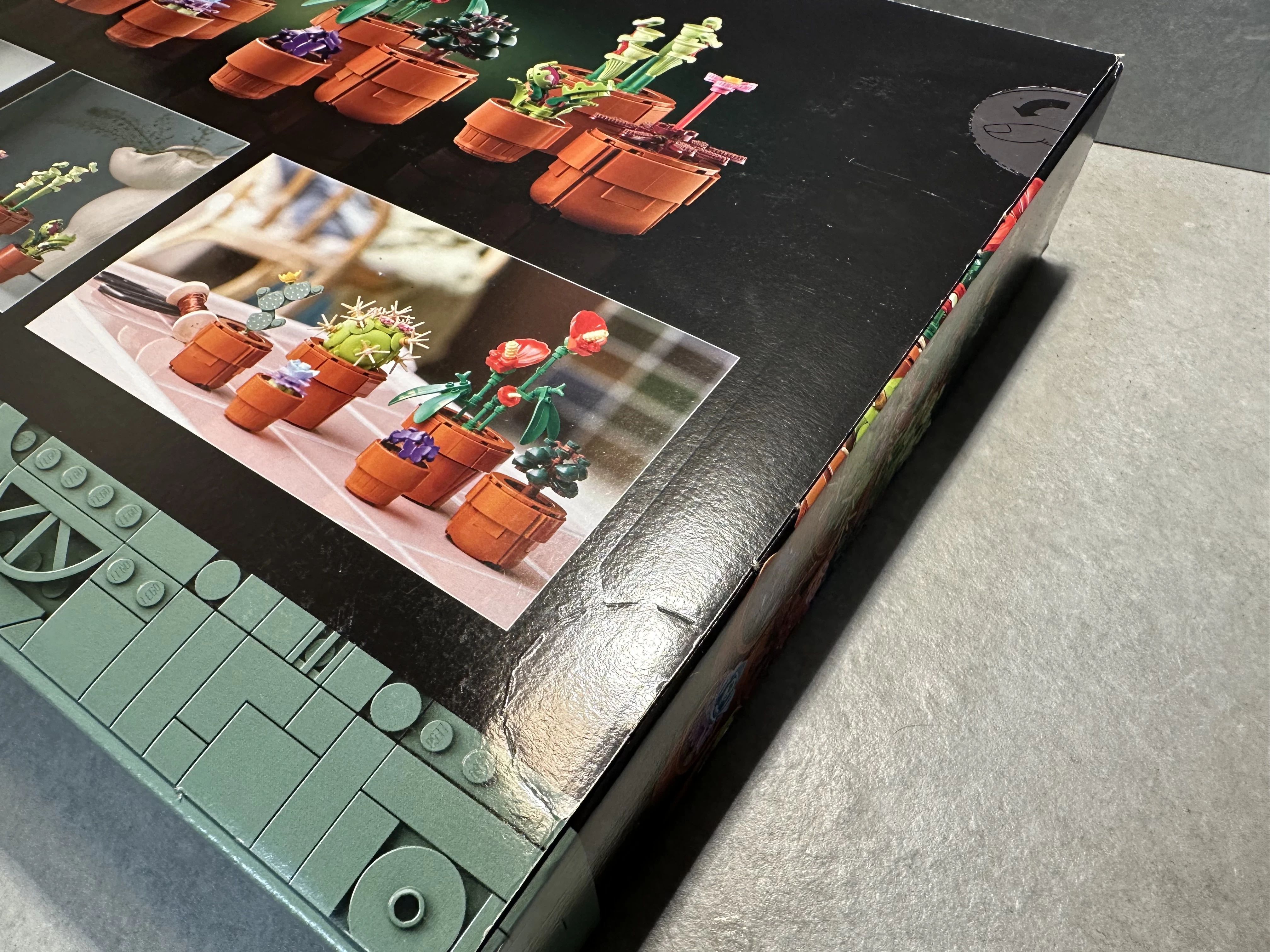 lego-icons-male-roslinki-10329-stan-11323-2