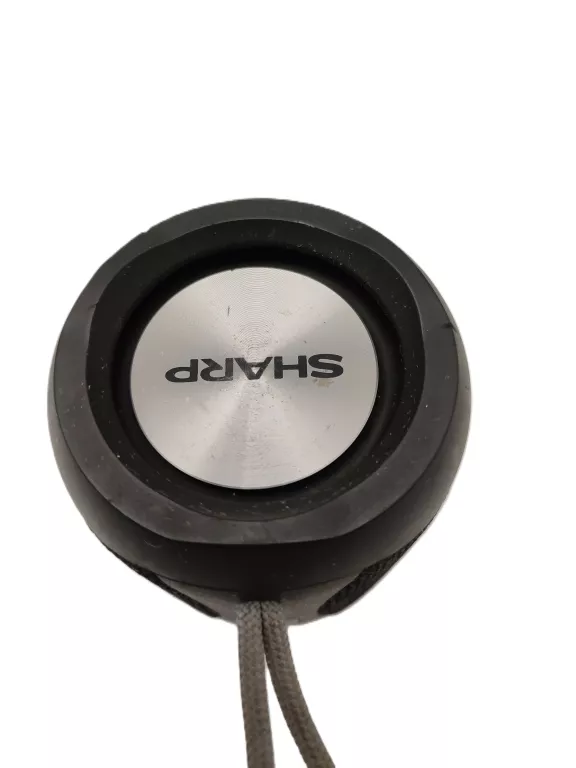 glosnik-przenosny-sharp-gx-bt180bk-czarny-14-w-ean-gtin-4974019103914