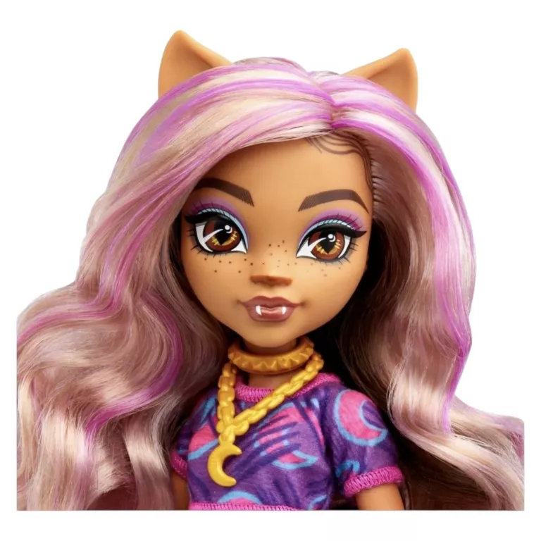 lalka-mattel-monster-high-clawdeen-wolf-275-cm-stan-11323-1