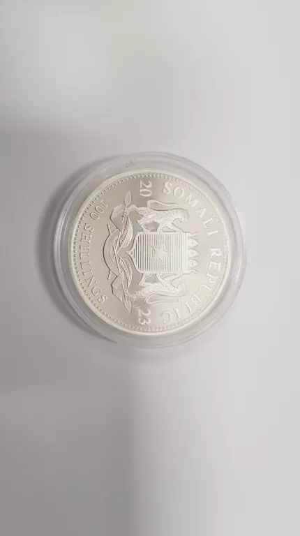 elephant-2023-somalia-african-wildlife-1-uncja-srebra-masa-311
