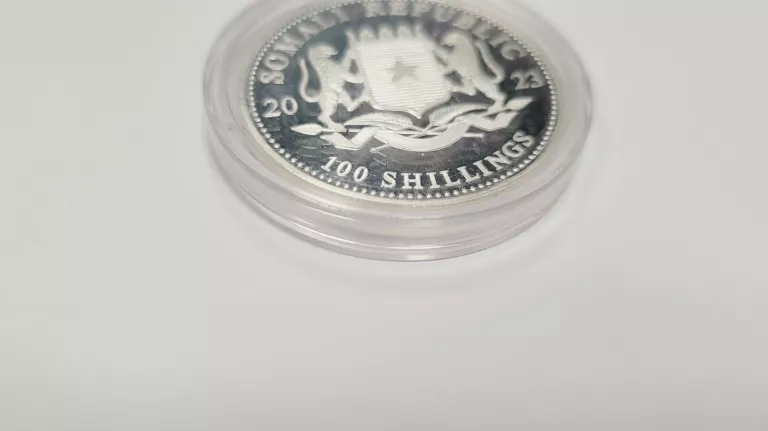 elephant-2023-somalia-african-wildlife-1-uncja-srebra-producent-249121-1108429